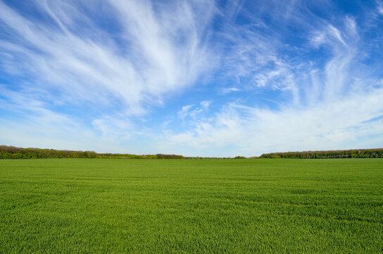 from Field to Table Delights discovering Hidden Gems