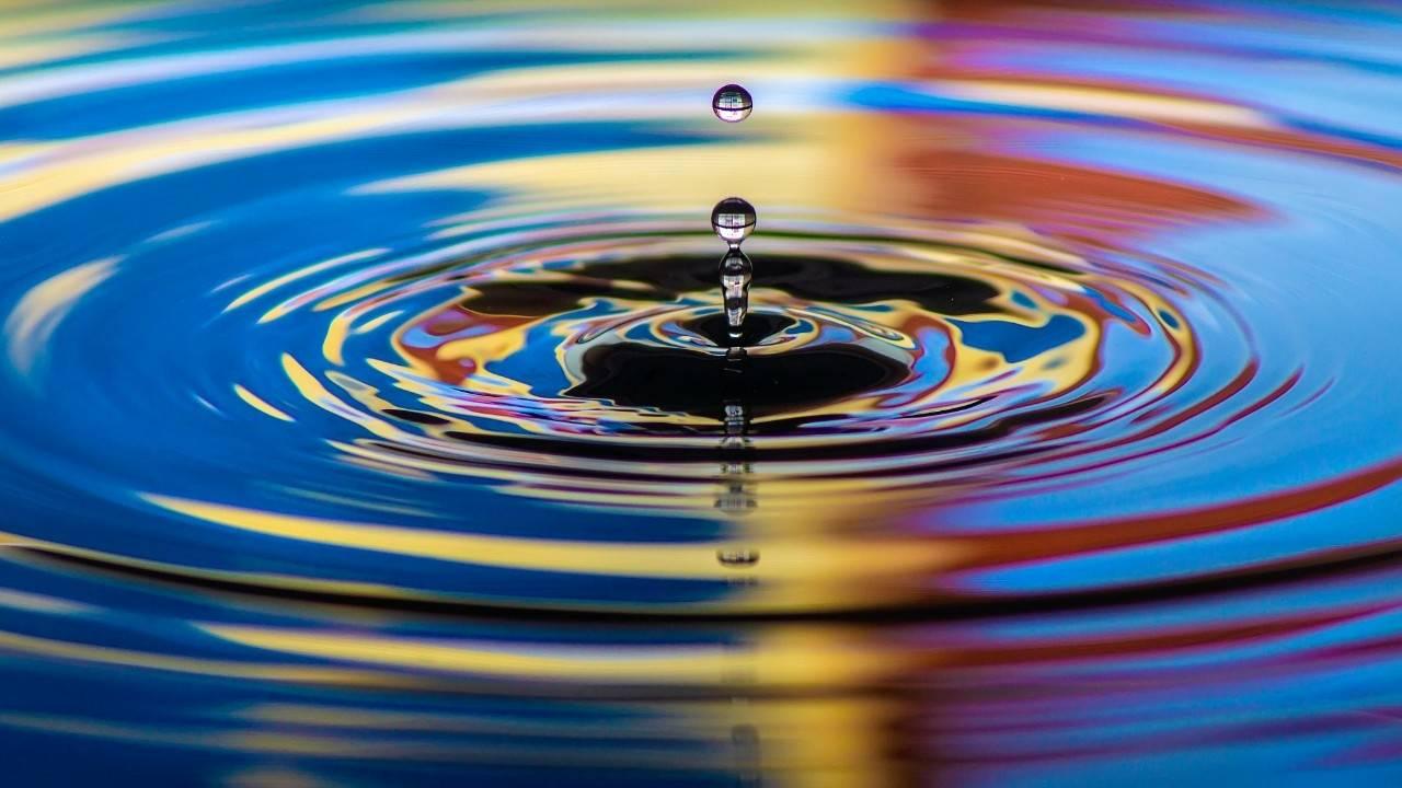 The Ripple Effect of Gratitude